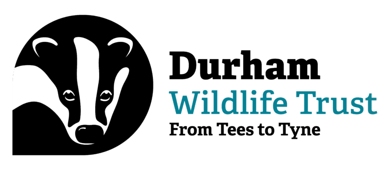 Durham Wildlife Trust Logo
