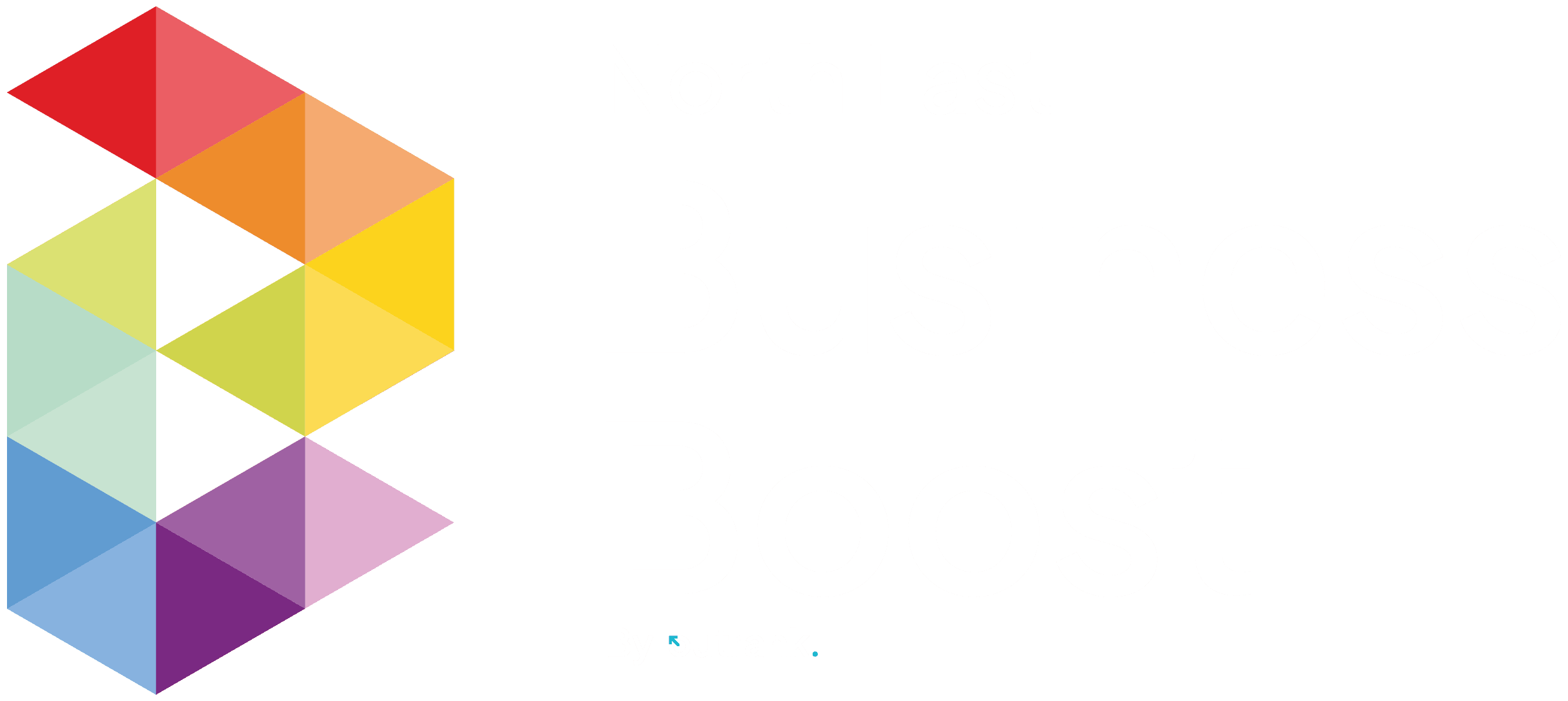 North East Business Boost Logo 3