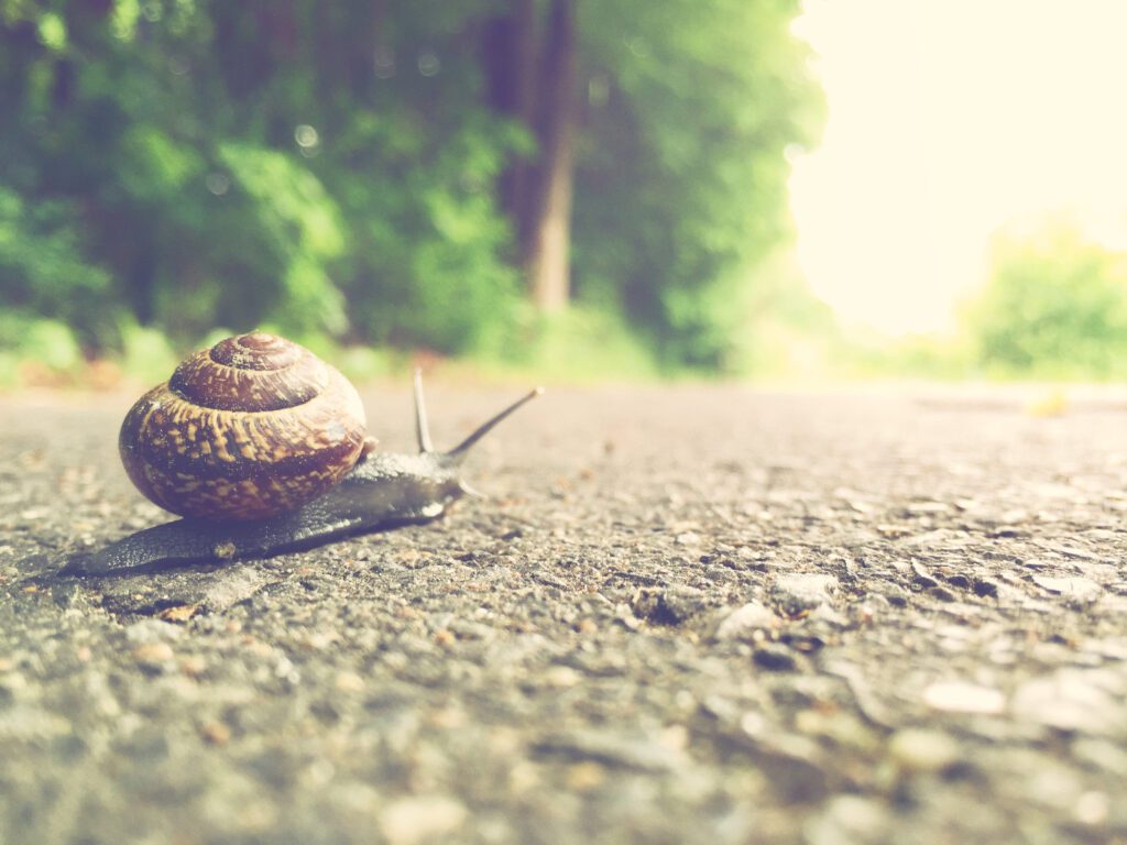 outrank what is a slow website loading time