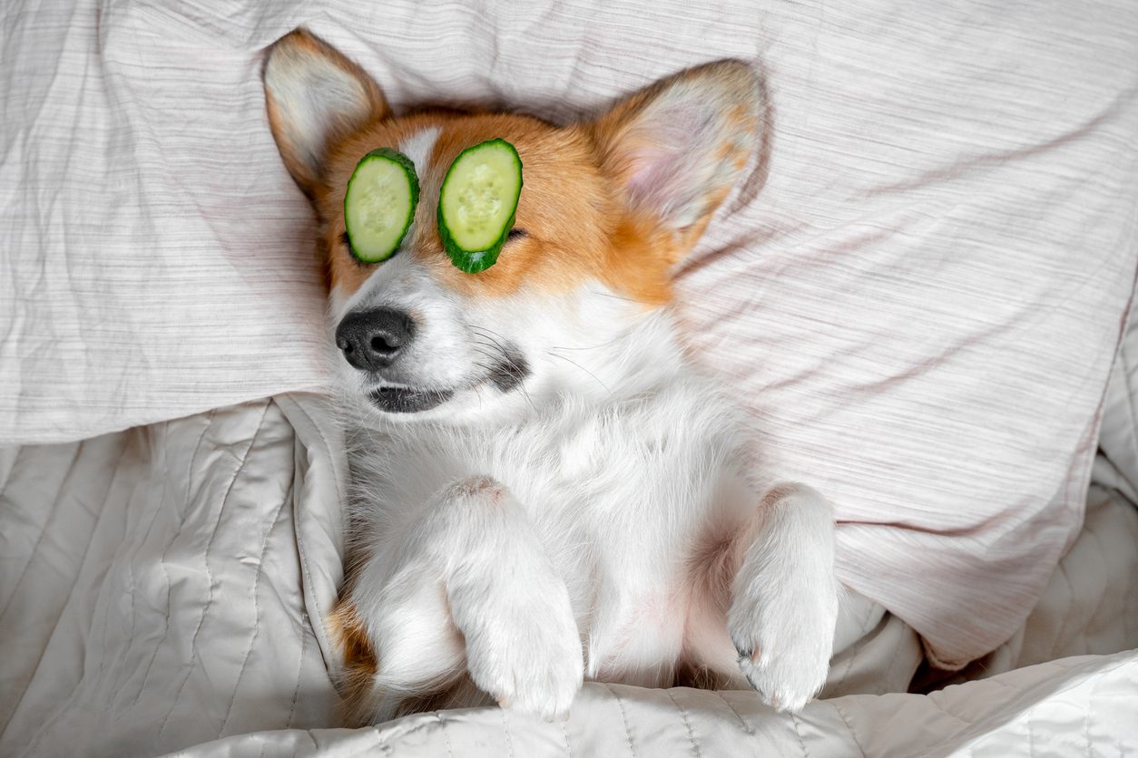 Self Care in the Workplace