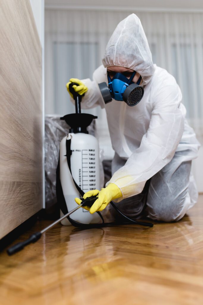Pest Control Companies SEO Work
