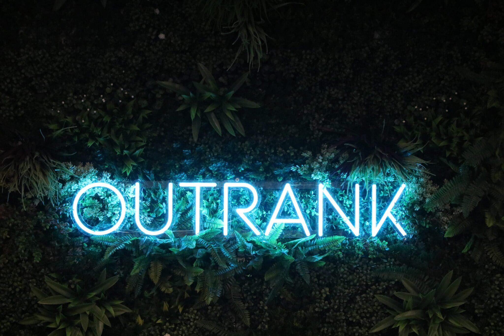 outrank ppc header