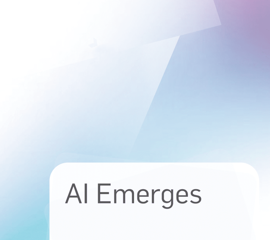 2025 AI, Data and Privacy