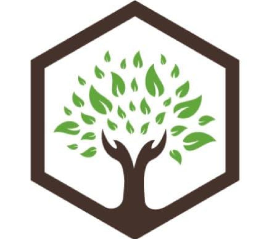 BTL Timber logo