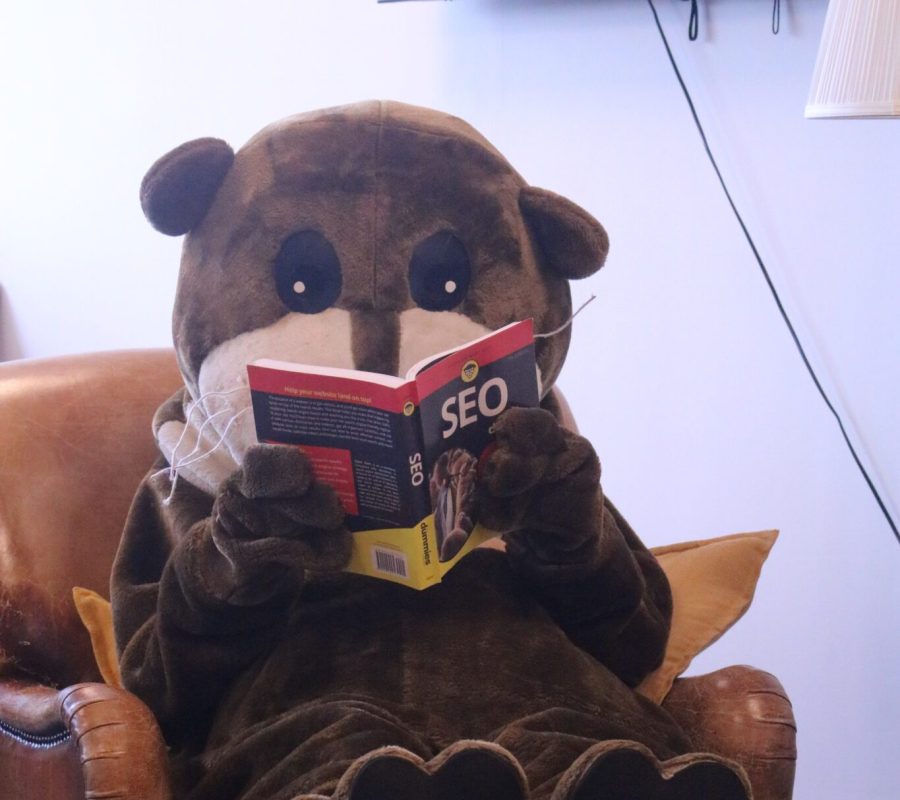 Book Your Free SEO Consultation Today!