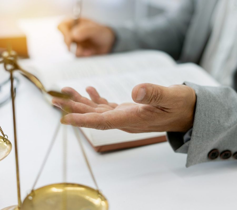 Defence Lawyer